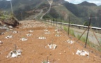 Calédonie: production de nickel suspendue à Koniambo à cause d'un conflit social
