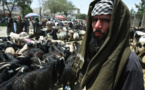 Afghanistan: des ambassades étrangères appellent les talibans à cesser leur offensive