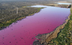 Une lagune vire au rose en Patagonie, polluée par des produits chimiques