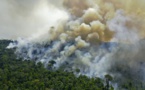 Amazonie : le Brésil n'atteindra pas son objectif de réduction de la déforestation