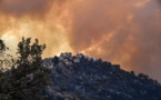 Algérie: pompiers, militaires et civils en lutte contre la course folle d'incendies meurtriers