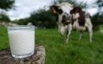 Une "Milk Valley" dans l'Ouest de la France pour être à la pointe sur le lait