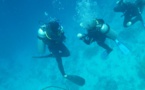 Les clubs de plongée veulent un motif impérieux pour les "activités touristiques"