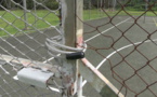 Raiatea ferme tous ses sites publics et sportifs