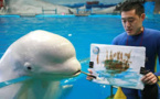 Des bélugas s'adonnent à la peinture dans un aquarium japonais