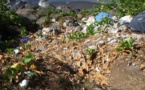 Rejoignez l'association « Te U’i Paruru Fenua » pour un ramassage de déchets au niveau de la baie de Papenoo le 12 octobre