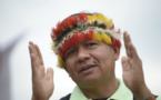 La destruction de l'Amazonie provoquerait une "apocalypse" mondiale