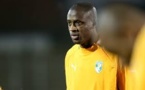 Le footballeur Yaya Touré s'engage pour la survie des éléphants
