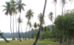 ​Une couronne pour protéger le joyau Moorea