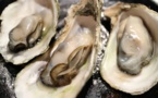 Charente-Maritime: trois tonnes d'huîtres volées sur l'île de Ré