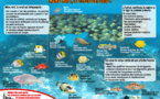 Tout savoir sur les semaines de la science