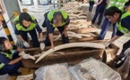 La France durcit sa lutte contre le trafic d'espèces menacées