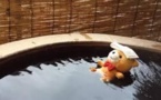 Au Japon, les ours en peluche aussi ont leur agence de voyage