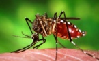 Epidémies de dengue et de zika: à la demande du Pays, l’Etat mandate une mission d’évaluation