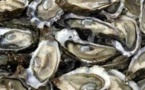 Monaco: des huîtres high tech affinées au pied du Rocher