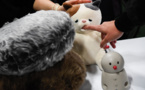 Robot chaton affectueux et masques anti-Covid au salon annuel des technologies