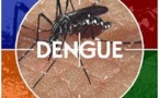 Alerte à la dengue à Fidji