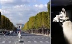 Un sosie de Serge le Lama en tête de cortège sur les Champs Elysées