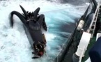 Antarctique: Sea Shepherd au contact des baleiniers japonais
