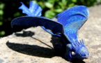 S’il te plaît, fabrique-moi un dragon…..en titane