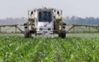 USA: la Cour suprême se range une nouvelle fois du côté de Monsanto