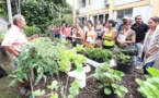 Potagers pédagogiques : formation d’enseignants du 1er degré (communiqué)