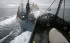 Sea Shepherd: Tokyo demande à La Haye des "actions concrètes" après une collision