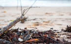 Guyane: l'érosion accélérée d'une plage menace une commune amérindienne