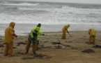 Arrivée de nouvelles galettes d'hydrocarbures sur des plages de l'Atlantique