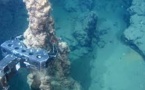 Nodules polymétalliques : le pionnier Nautilus met fin à l’accord avec le gouvernement papou