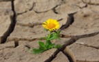 La destruction de la nature menace la stabilité économique