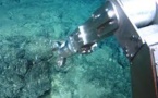 Des scientifiques sonnent l'alarme sur l'exploitation des fonds marins