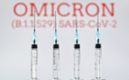 Les vaccins adaptés à Omicron pas disponibles avant "l'automne", selon Berlin