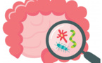 Microbiote intestinal : son rôle chez l’être humain