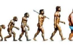 Obésité, infertilité... L'évolution inédite de l'espèce Homo sapiens