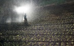 L'urine humaine, un engrais inattendu, mais efficace et moins polluant