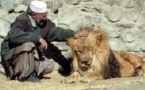 Une nouvelle vie au zoo pour le lion qui vivait sur un toit de Kaboul