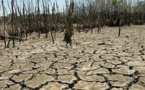 Réchauffement: le Giec alerte sur l'insécurité alimentaire et les risques de conflit