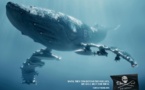 Sea Shepherd militera dans l'Atlantique si Tokyo cesse sa chasse aux baleines
