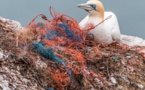 "Ils sont partout": des océans au corps humain, l'intrusion insidieuse des microplastiques
