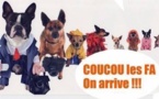 Eimeo Animara recherche famille d'acceuil