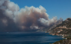 Grèce: les pompiers tentent de sauver un important parc national