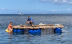 Des cages à poissons durables en phase de test