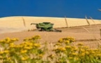 Accaparement des terres: en France aussi?