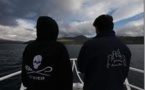 Sea Shepherd met le cap sur les îles Féroé pour protéger les dauphins