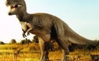 Les dinosaures, des animaux à sang tiède