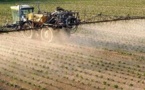 Les pesticides menacent les oiseaux et les vers de terre autant que les abeilles