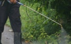Agriculture: restreindre l'épandage des pesticides près des écoles