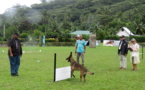 Des maîtres-chiens d’excellence à Moorea