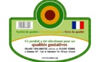 Des fruits avec du goût et des couleurs: maintenant possible en grande distribution